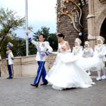 Disney Royal Dream Wedding